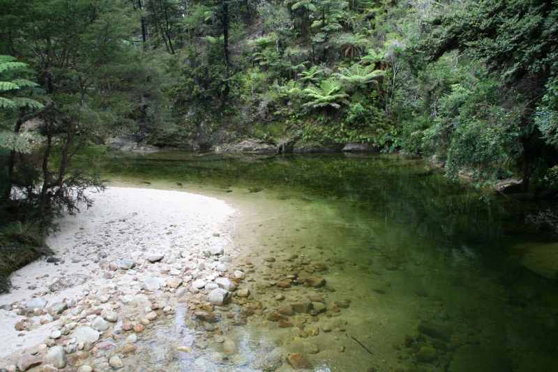 Nieuw-Zeeland 2011 - 1052